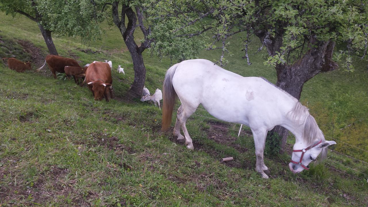 Vaznik Farm House Apartments Блед Екстериор снимка